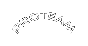 PROTEAM