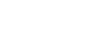 PROTEAM