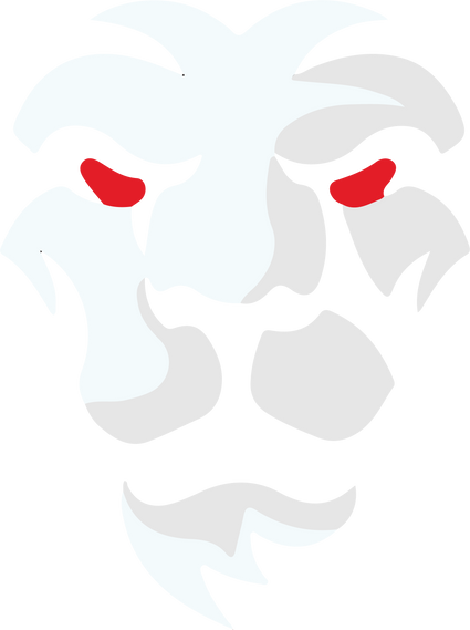 Abstract Lion Face